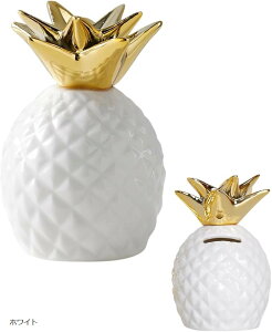 pCibv  u CeA G Z~bN k    蕨 v[g S[h