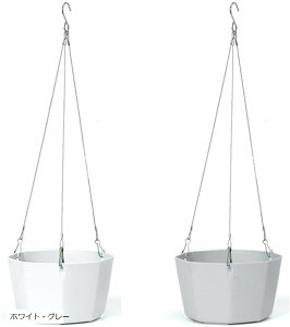 nMO v^[ ϗtA C[ oXPbg A  ݂  CeA   zCg zCgE O[