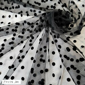 1way Xgb`  `[ n 160cm hbg [X  z  bh zCg1 ubN1 lCr[ zCg2 uE 3m