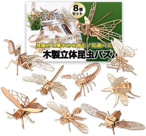 ̃pY 3D ؐ gݗăLbg  8Zbg CeA ͌^ m Mtg