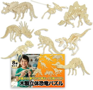 ̃pY 3D ؐ gݗăLbg  8Zbg CeA ͌^ m Mtg