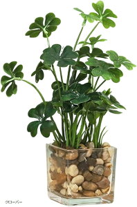 ϗtA tFCN  ~j  CeA  lH tFCNO[ KX|bg N[o[ Ύ @ ^C