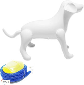 GA[ }lL  ybg g\[ fBXvC W Ct[^u zCg