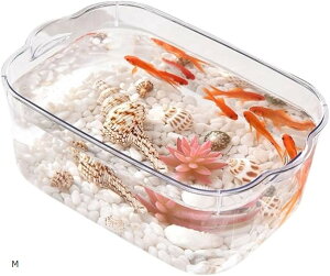   vX`bN _J   y AN e CeA S