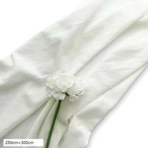 wiz zCg Bep n l ߂  B pr \ n 180cmx250cm 250cmx300cm 120cmx180cm