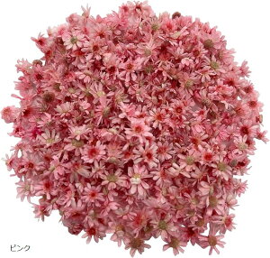 ~jt[ hCt[ Wp fRf 2g 440 E971 Jt~bNX