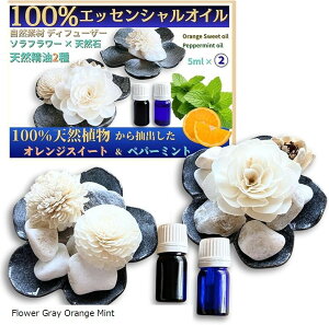 �V�R�G�b�Z���V�����A���}�I�C��2�{�t�� �f�B�t���[�U�[�Z�b�g ���Y�A���}�X�g�[�� �\���t�����[ 100�������y�p�[�~���g/�I�����W�X�C�[�g�e5ml �C���e���A�G�� Circle Flower Gray Orange Mint