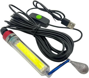 �W���� USB���d ������ LED ���C�g 30g �d��t 20W IP68 �h�� 5m ��ނ� �C�ނ� ���� (�z���C�g)