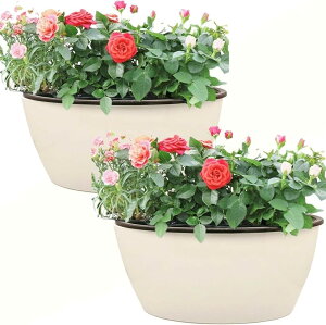 �A�ؔ� �v���X�`�b�N ���� ������� �������� �� ��� �n�[�u �͔| SW2081�ȉ~�^ 2�Z�b�g 16x9cm (�ȉ~�^ 2�Z�b�g(16x9cm))