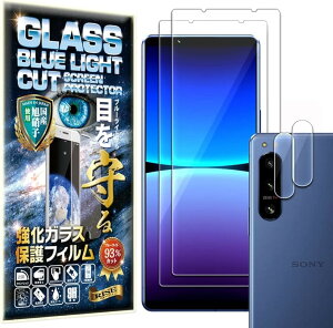 �u���[���C�g�J�b�g 93%2���{2��RISE�K���X�t�B���� �J���� �����Y Xperia5 iv SO-54C / SOG09 �G�N�X�y���A �p �ی�t�B����