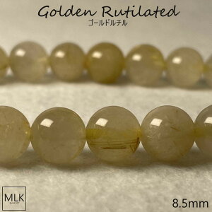  S[h`uXbg _  8.5mm a 19cm p[Xg[ VR ^ ^ ^ d^ rWlX^ K^ B  _̊  ^ ƒ~  ^