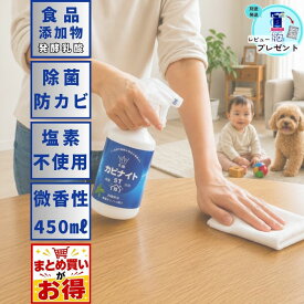 【まとめ買い割あり】 乳酸 カビナイト ST 450ml スプレー ボトル カビ取り 非塩素系 微香性 ミント 弱酸性 浴室 浴槽 トイレ 押入れ 畳 除菌 乳酸 HIYU ヒユウ 飛雄 ペット 安全 1000円ポッキリ 送料無料 レビュー プレゼント