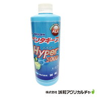 誠和アグリカルチャ　ペンタキープHYPER5000　ペンタキープハイパー5000　新・機能性肥料　5-アミノレブ…