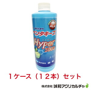 aAOJ`@y^L[vHYPER5000@12{Zbg@y^L[vnCp[5000@VE@\엿@@5-A~mu_z@ALA@엿