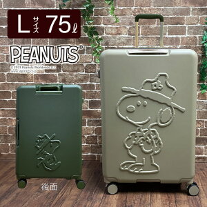 X[cP[X LTCY 75L Xk[s[ Vt L[obO L[P[X HAP2285-65