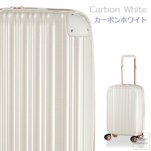 ő20ItN[|11271:59}fX[cP[X STCY 32L @݉ g t@Xi[ L[obO L[P[X Vt GREEN WORKS GRE2253-48