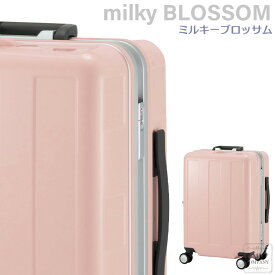 スーツケース 超軽量 Sサイズ 38L 1泊2泊3泊用 機内持ち込み可 フレームタイプ かわいい キャリーバッグ キャリーケーズ プラスワン アドバンスブーン