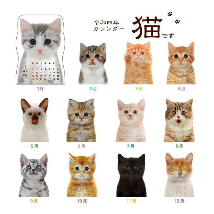 楽天市場 22 Calendar 猫です 壁掛け カレンダー 22年 ダイカット ねこ アクティブコーポレーション 猫 写真 インテリア 令和4年暦 マシュマロポップ ガールズ雑貨通販マシュマロポップ