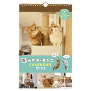 ねこ カレンダーの人気商品 通販 価格比較 価格 Com ねこ カレンダーの人気商品 通販 価格比較 価格 Com