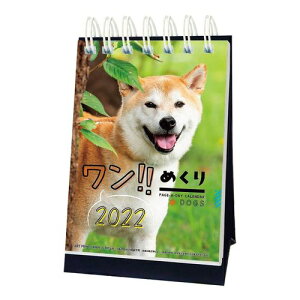 日めくり カレンダー かわいいの人気商品 通販 価格比較 価格 Com 日めくり カレンダー かわいいの人気商品 通販 価格比較 価格 Com