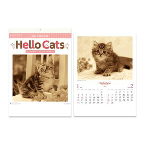 壁掛け カレンダー 2022年 ハローキャッツ ねこ 新日本カレンダー 動物写真 インテリア 令和4年 暦 予約 マシュマロポップ