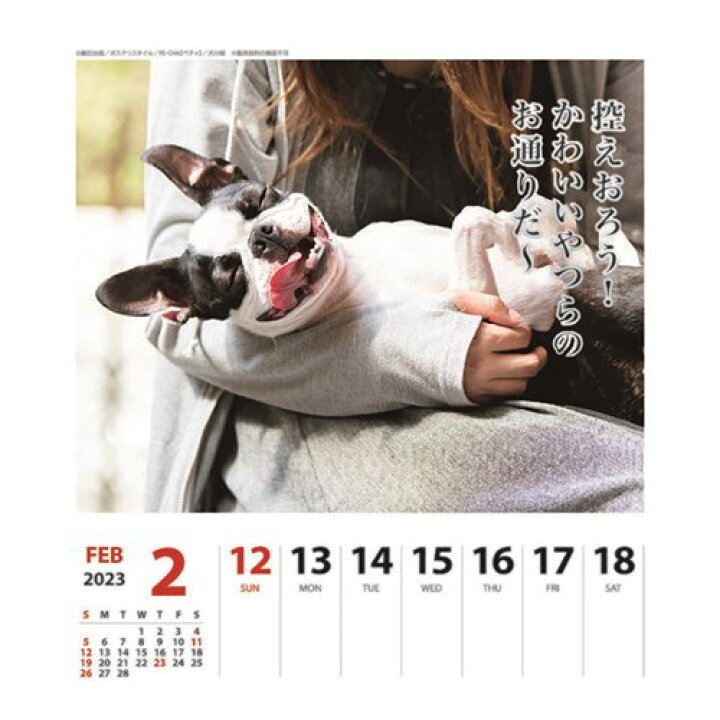 楽天市場】2023Calendar ペチャ犬川柳 週めくり 壁掛け＆卓上カレンダー2023年 スケジュール いぬ APJ 動物写真 書き込み  インテリア 令和5年暦 予約 メール便可 マシュマロポップ : ガールズ雑貨通販マシュマロポップ