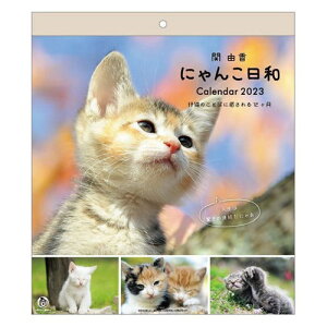 マシュマロ 動物 カレンダーの人気商品 通販 価格比較 価格 Com マシュマロ 動物 カレンダーの人気商品 通販 価格比較 価格 Com