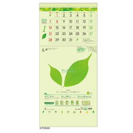 2024 Calendar グリーン3ヶ月eco 壁掛けカレンダー2024年 上から順タイプ トーダン ビジネス オフィス スケジュール 実用 書き込み 令和6年暦 マシュマロポップ