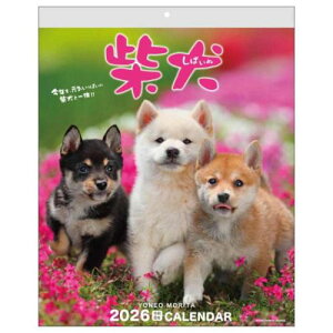 2026 Calendar XcėY ܂邲ƎČ Ǌ|J_[2026N XPW[  ANeBuR[|[V ʐ^  CeA ߘa8N }V}|bv