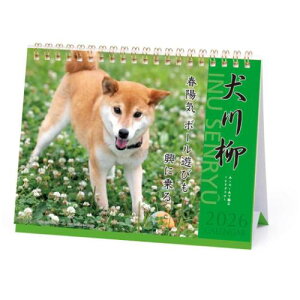 2026Calendar  J_[2026N  XPW[  APJ ʐ^  CeA ߘa8N [։ }V}|bv