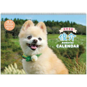 2026Calendar r |jA Ǌ|J_[2026N XPW[  APJ ʐ^  CeA ߘa8N }V}|bv