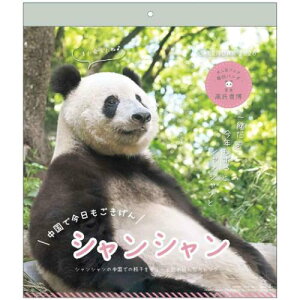 2026Calendar VV p_ in  M Ǌ|J_[2026N XPW[ p_ APJ ʐ^  CeA ߘa8N }V}|bv