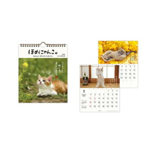 2026 Calendar ق߂ɂ OJ_[Ǌ|㏬^J_[2026N ˂ {z[}[N XPW[   ʐ^ ߘa8N }V}|bv