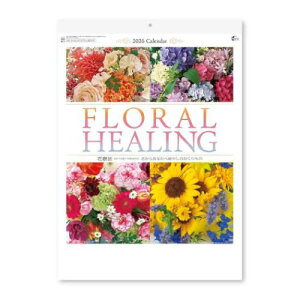 2026Calendar t[q[O ԗÖ@ Ǌ|J_[2026N XPW[ V{J_[ Ԏʐ^ p  CeA ߘa8N }V}|bv