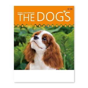 2026Calendar THE DOG's Ǌ|J_[2026N XPW[  V{J_[ ʐ^ p  CeA ߘa8N [։ }V}|bv