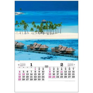 2026 Calendar g[n DX }u[ tC Ǌ|J_[2026N tB tHg g[_ ʐ^ ECi CeA ߘa8N }V}|bv