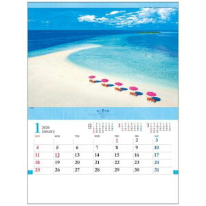 2026 Calendar ɏ㖲 ̃][g Ǌ|J_[2026N tHg g[_ ʐ^ Ei CeA ߘa8N }V}|bv