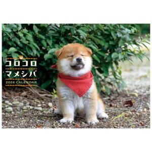 2026 Calendar コロコロマメシバ 壁掛けカレンダー2026年 いぬ トライエックス 動物 写真 令和8年暦 マシュマロポップ