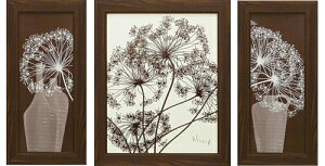 ���i �t�����c �w�C�O�� �f���P�[�g �c�B�O�X �z�t�� �|�X�^�[3���Z�b�g �t�����[�C���e���A�A�[�g