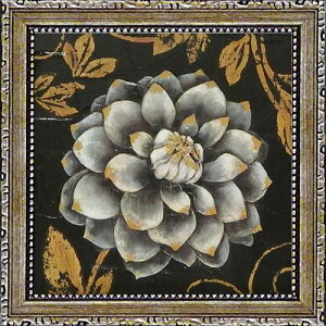 i X^WIM t[A[g ~jQA[g bNXt[1 zt |X^[ CeA G