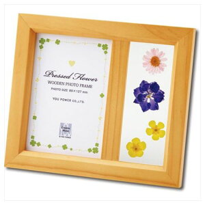 ؐ tHgt[  i` zCg ʐ^  Mtg CeA G i }V}|bv