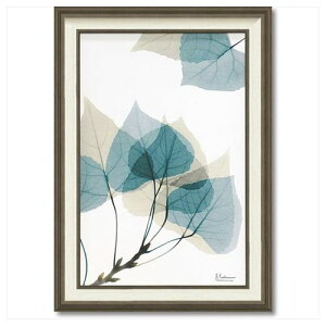 LoX A[g X RAY [t1 MTCY t[ A[g  tHg CeAObY i }V}|bv