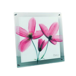 �K���X�A�[�g X RAY �W���[�j�[�N���}�`�X M�T�C�Y �t�����[ �A�[�g ������ �t�H�g �C���e���A�O�b�Y ���i �}�V���}���|�b�v