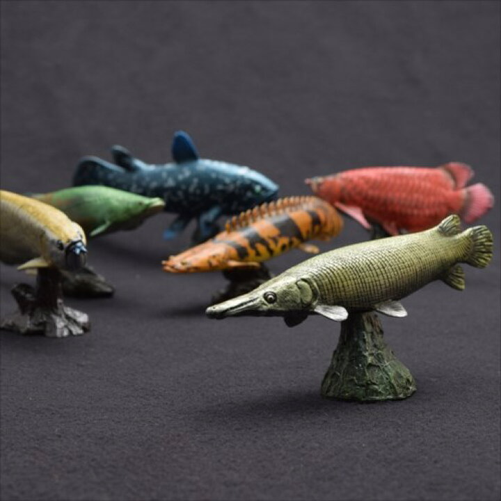楽天市場 ソフトモデルフィギュア マンファリ キューバンガー フィギュア 古代魚 フェバリット 古生物 インテリア 雑貨 玩具グッズ マシュマロポップ ガールズ雑貨通販マシュマロポップ