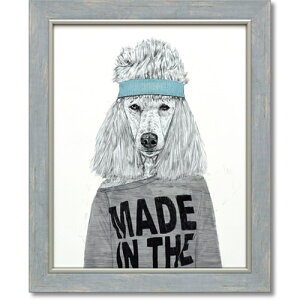 A[gt[ GCeB[Y rb` oYX VeB  48x58cm zt |X^[ CeAObY i }V}|bv