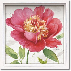 nX ~jA[gt[ sN K[f1 T I[fBbg t[A[g 13.5x13.5x3.5cm zt |X^[ CeAObY i }V}|bv