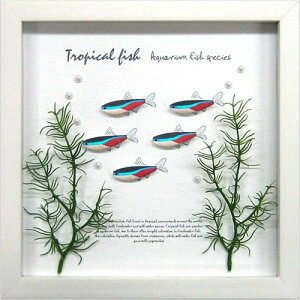 �y�|�C���g10�{ & �N�[�|���I�zAqua Frame Neon Tetra �A�N�A�t���[�� �z���i ���H�� �z���i �M�t�g �����C���e���A ���i �}�V���}���|�b�v