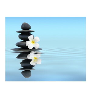 プルメリア インテリアの人気商品 通販 価格比較 価格 Com