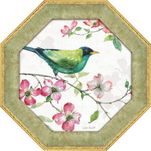 p ~jQ A[gt[ hbOEbh K[f2 T I[fBbg  LA-02551 19.5x19.5cm  Mtg zt |X^[CeA i }V}|bv