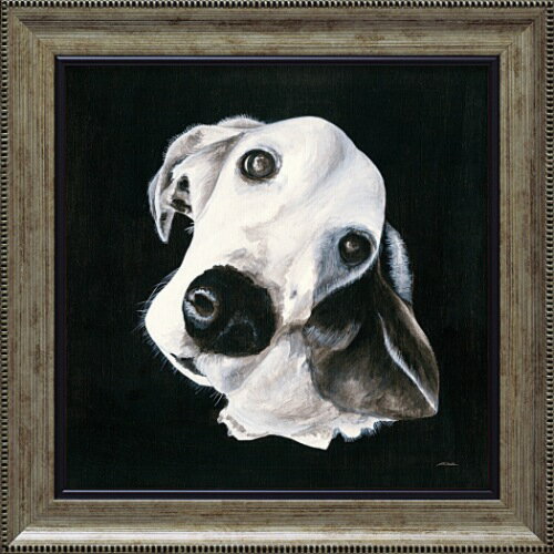 楽天市場 マックス Pd パスティ ダックロー 動物画 38x38cm ギフト 絵画 犬 額付き ポスターインテリア 取寄品 マシュマロポップ ガールズ雑貨通販マシュマロポップ